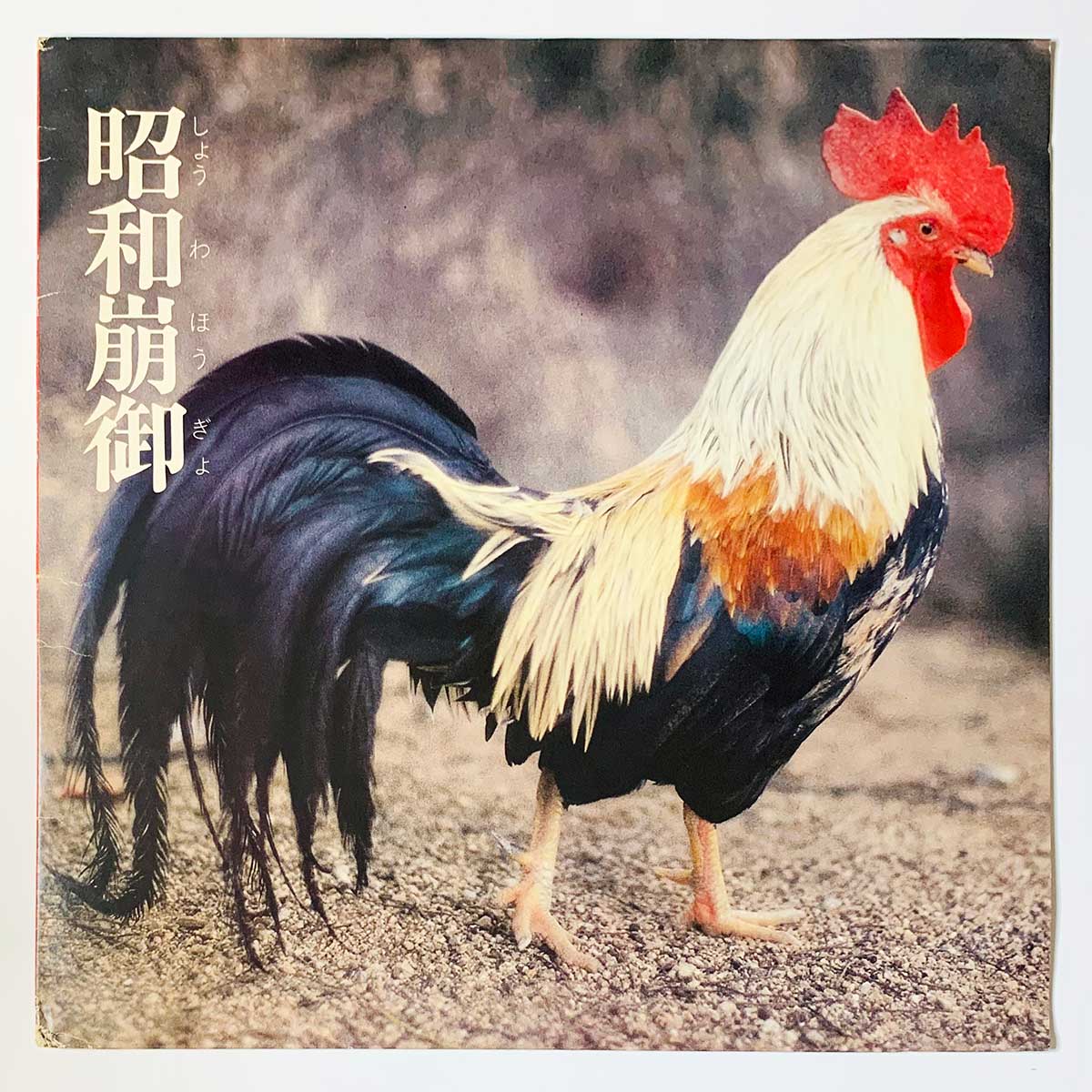 邦楽 EP-4 Lingua Franca-X EP-4 - Lingua Franca-X [1984 Japan Original] (12) – Light'n