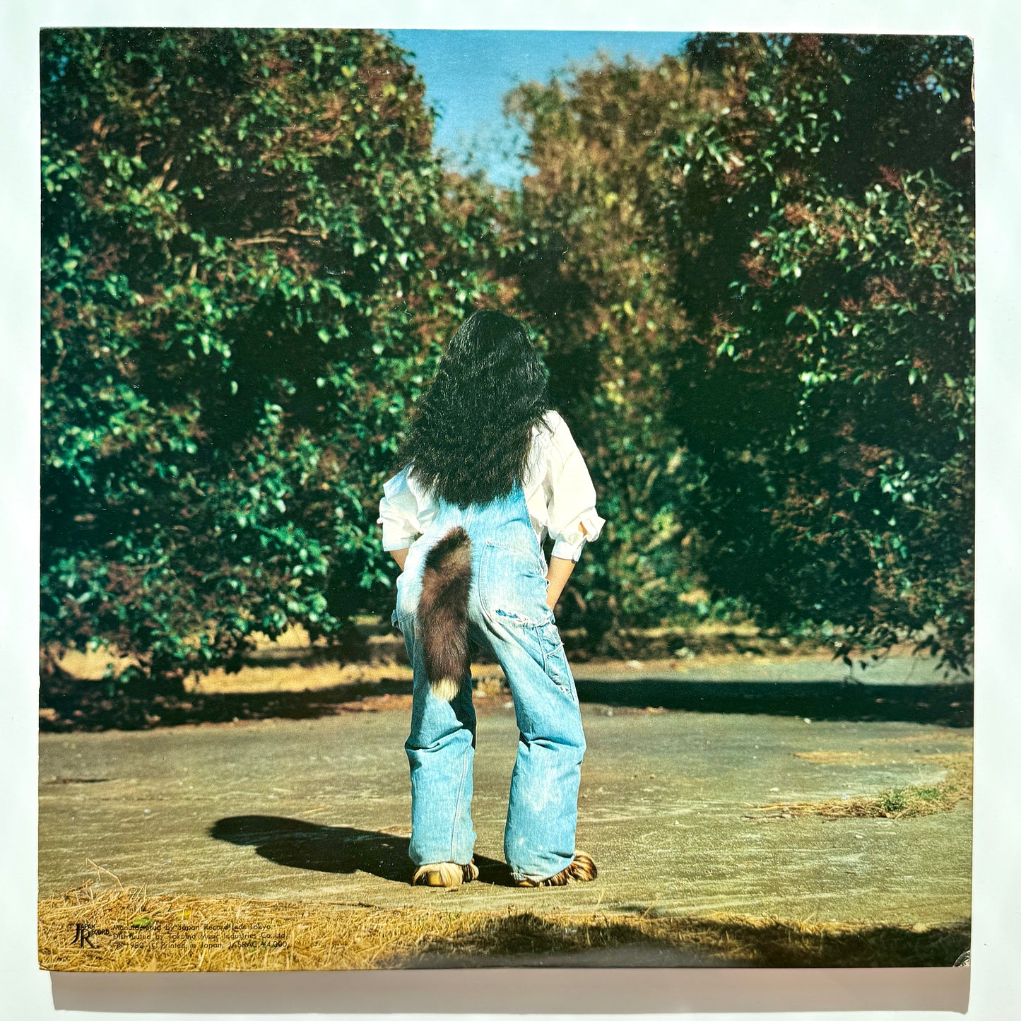 Akiko Yano - Go Ha N Ga De Ki Ta Yo (Japan Repress)