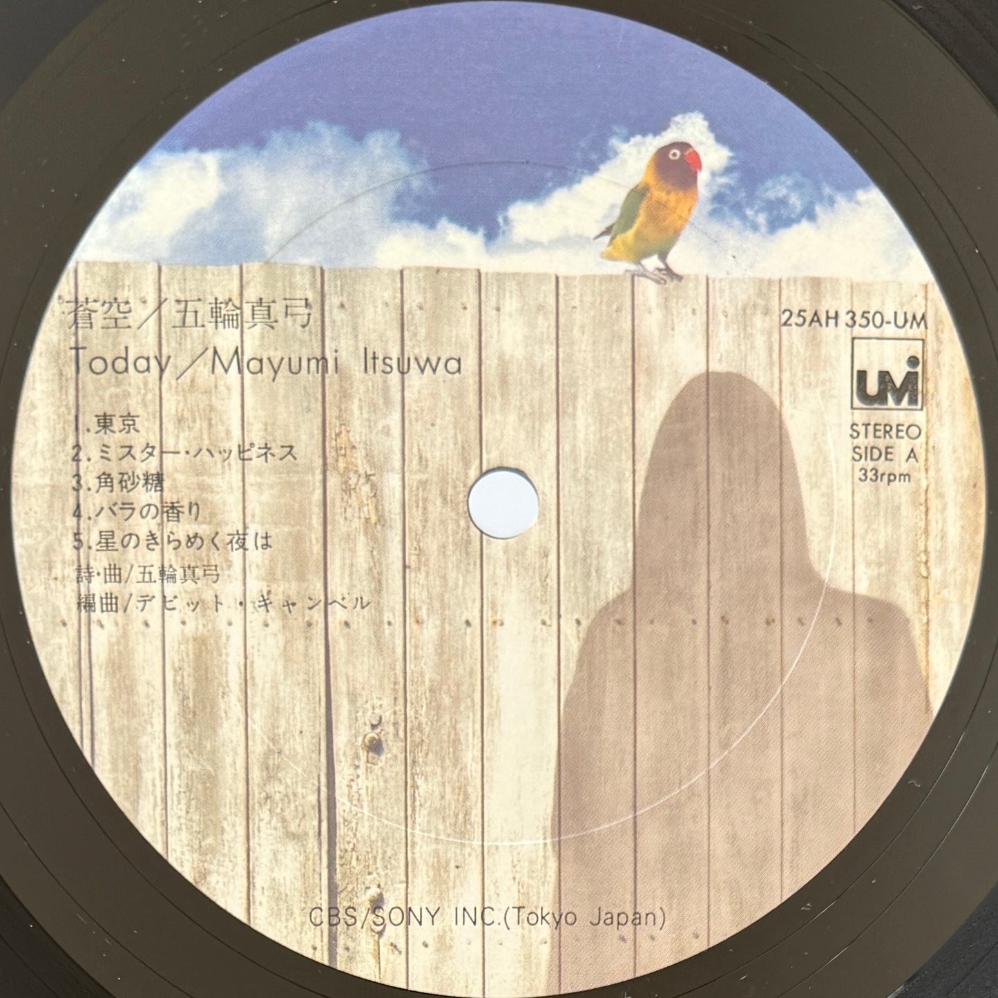 Mayumi Itsuwa - 蒼空 / Today (Original Press)