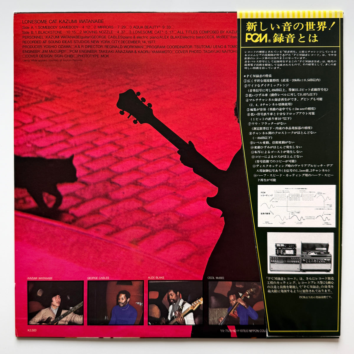 Kazumi Watanabe - Lonesome Cat (Original Press)
