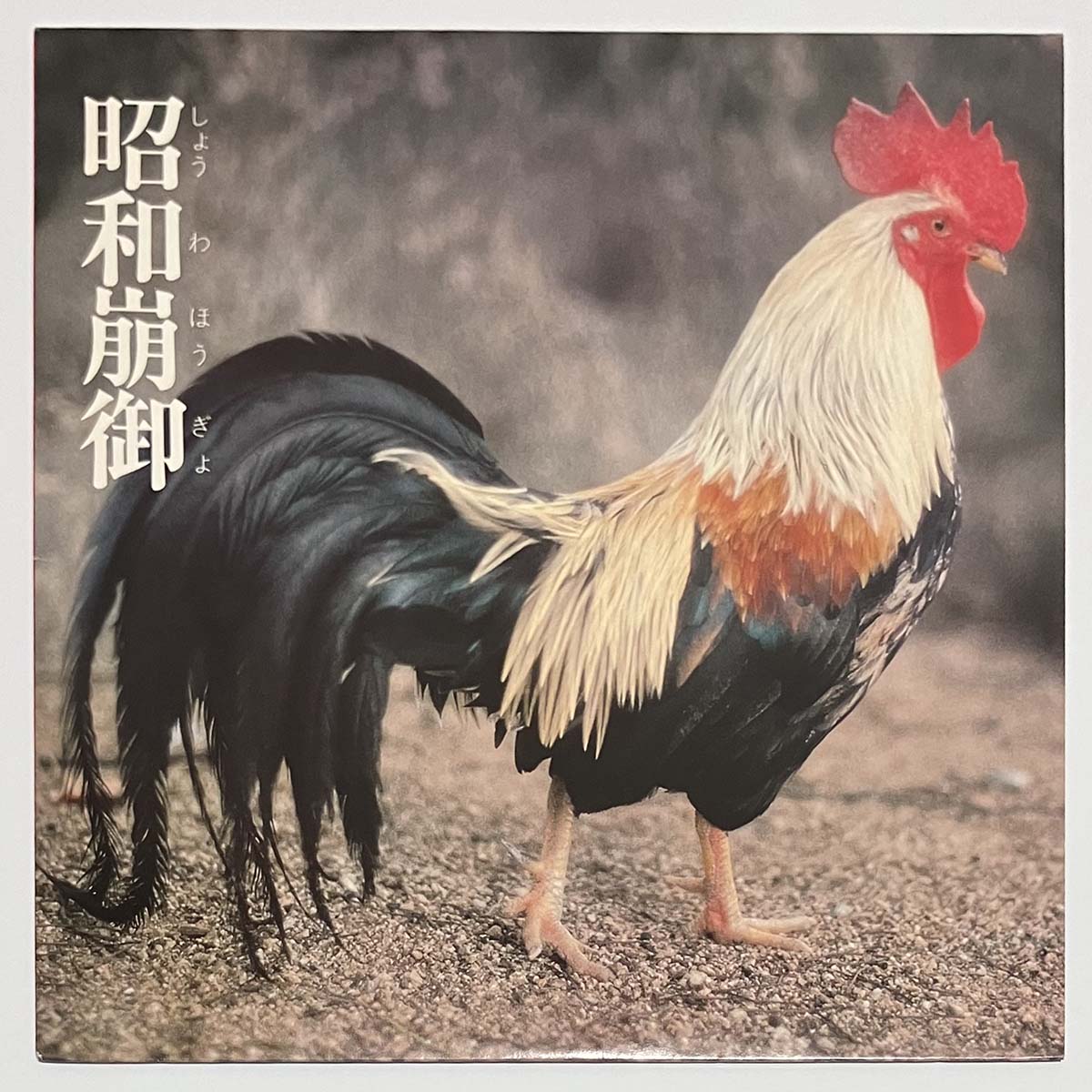 邦楽 EP-4 Lingua Franca-X EP-4 ‎– Lingua Franca-X (w/obi) – All Night Flight Records