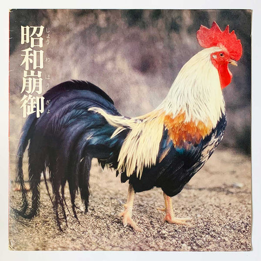 EP-4 - Lingua Franca-X [1984 Japan Original] (12)