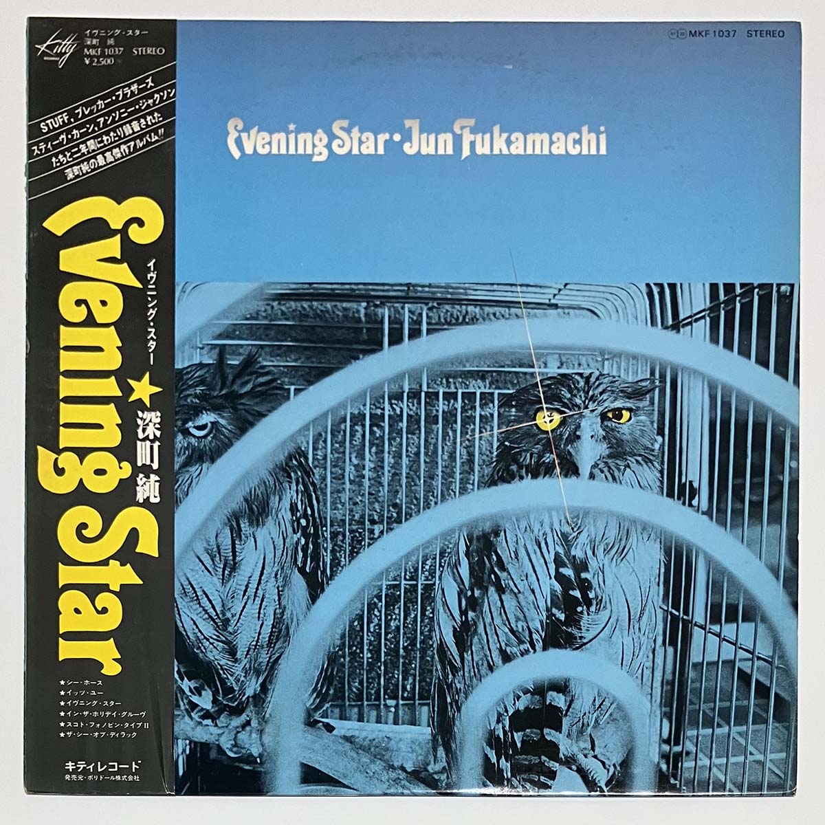 JUN FUKAMACHI - EVENING STAR (LP)