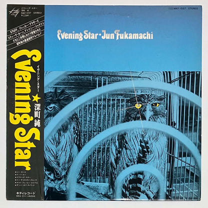 JUN FUKAMACHI - EVENING STAR (LP)