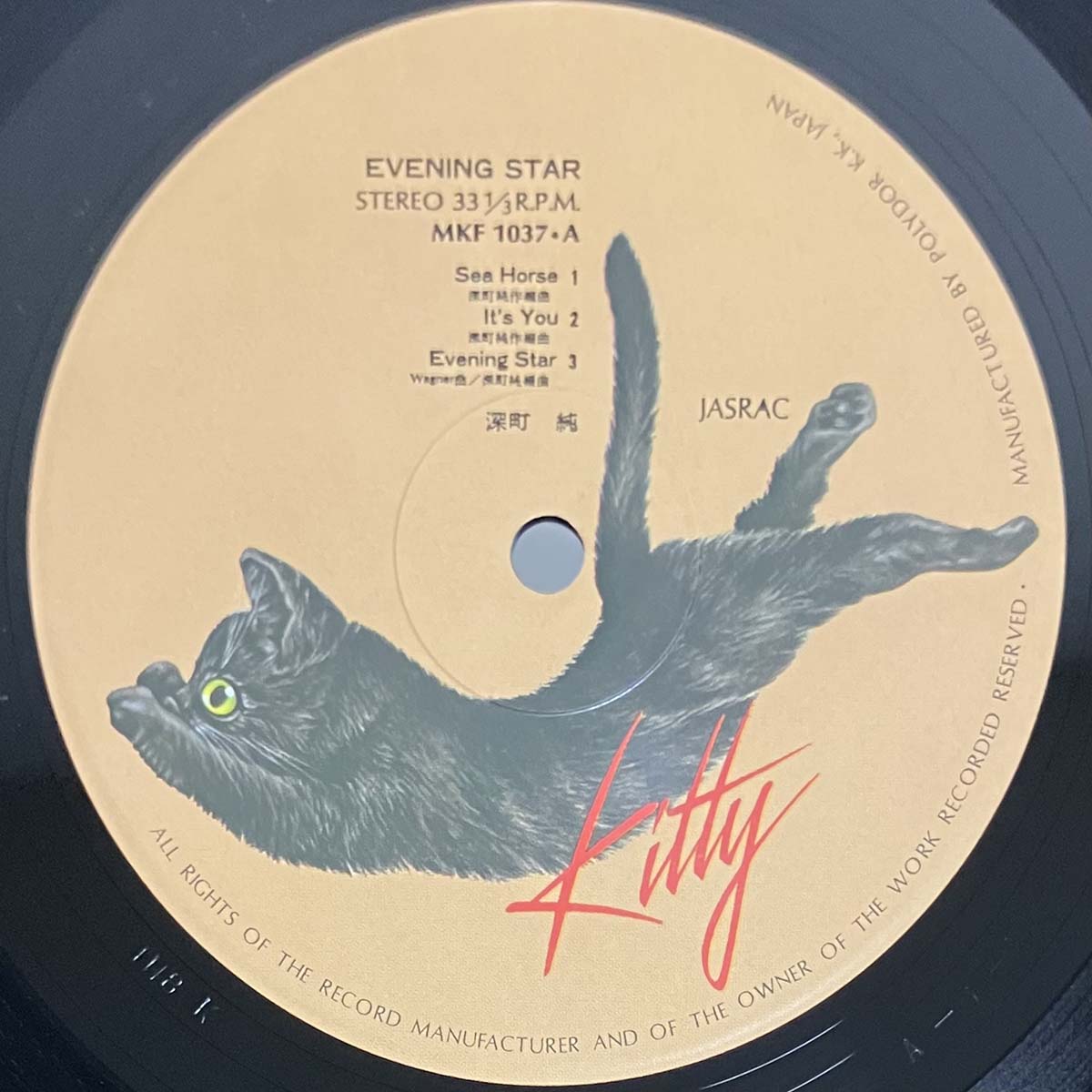 JUN FUKAMACHI - EVENING STAR (LP)