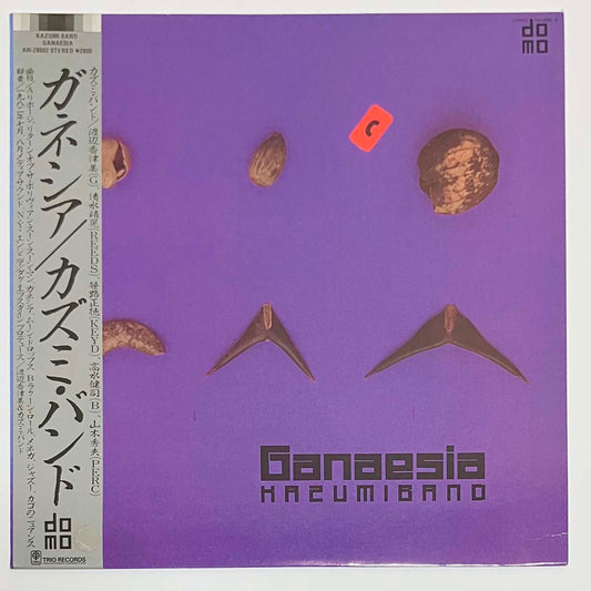 Kazumi Band   - Ganaesia [1982 Japan Original] (LP)