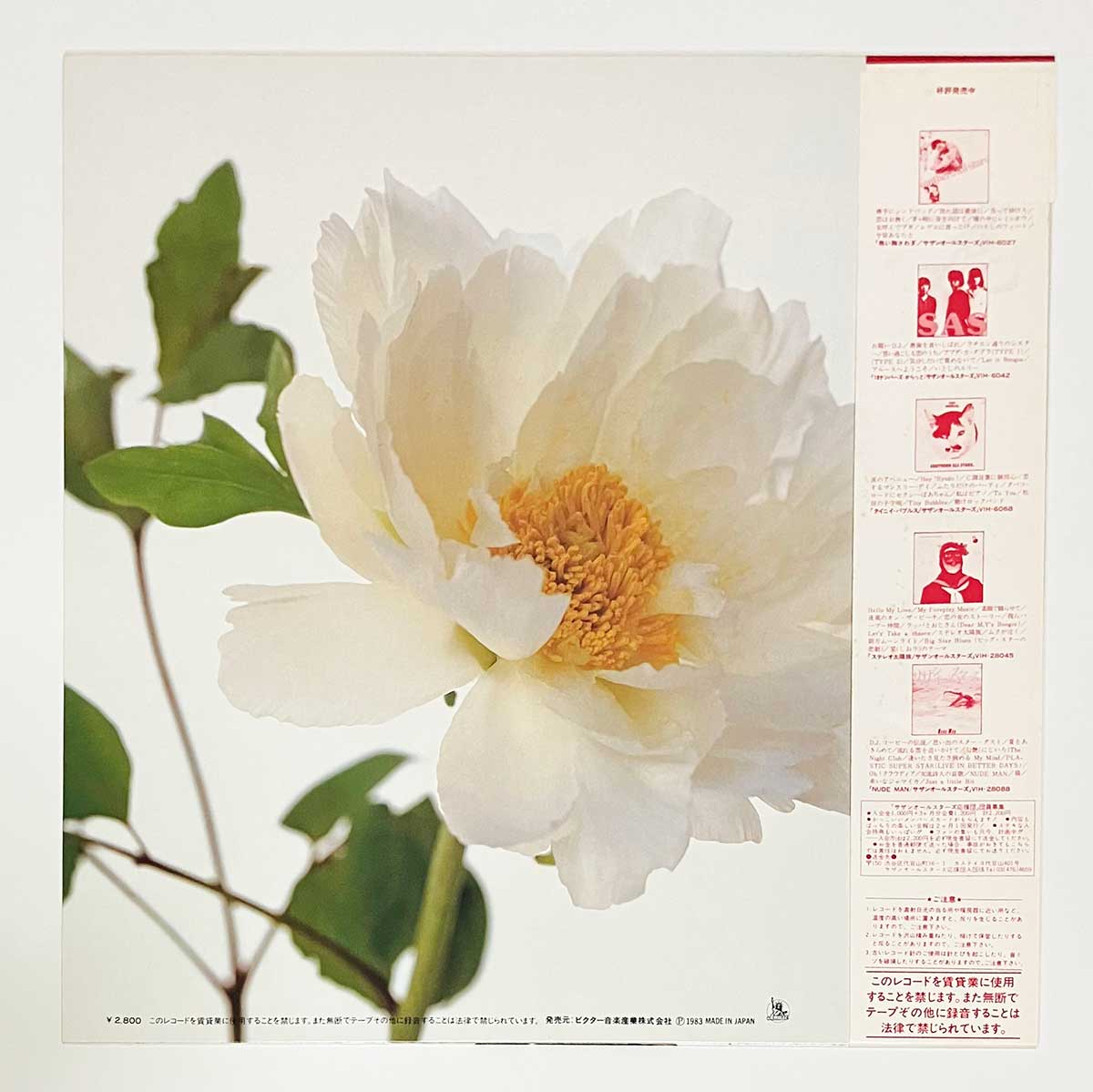 Southern All Stars - 綺麗 [1983 Japan Original] (LP)