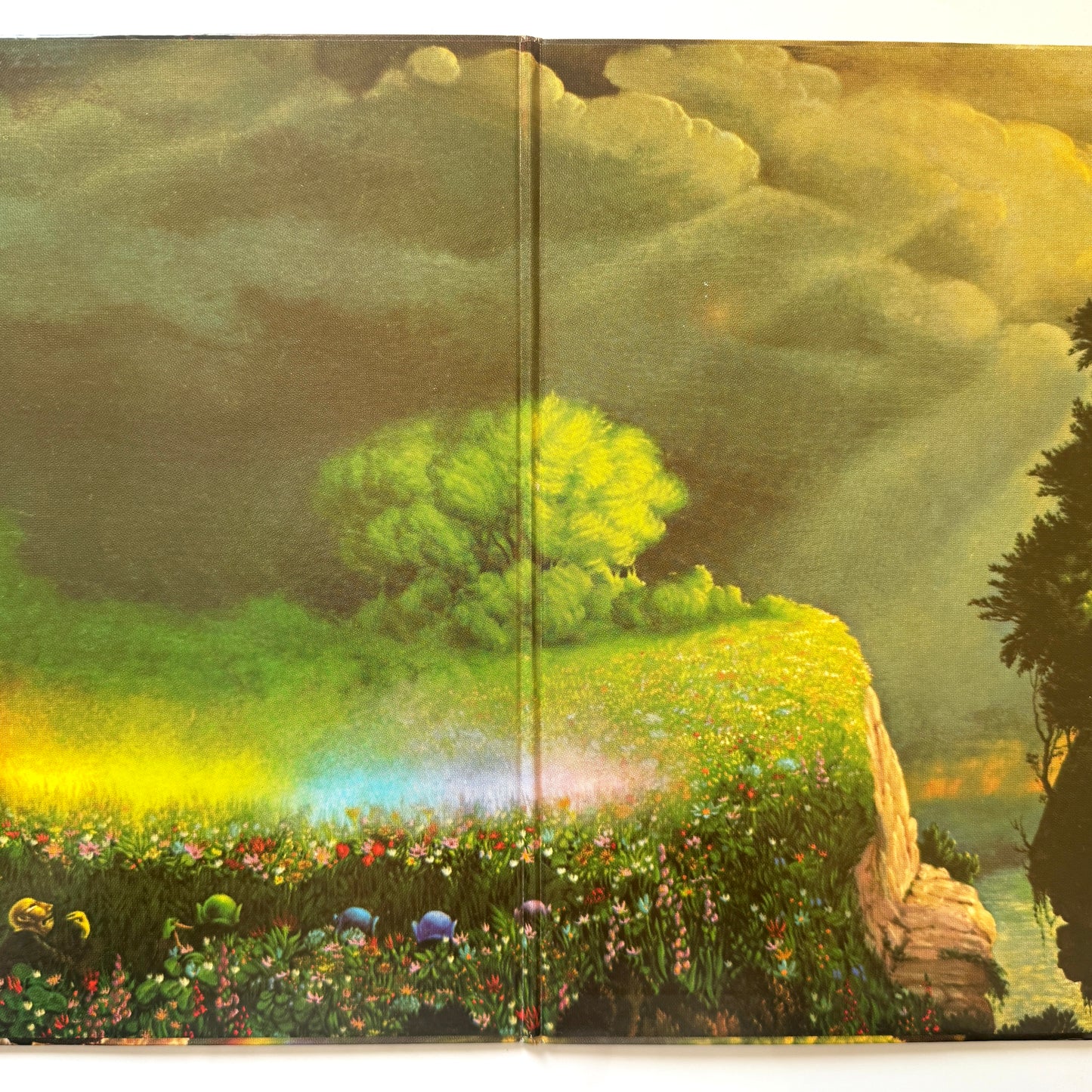 Masayoshi Takanaka - The Rainbow Goblins (Original Press)