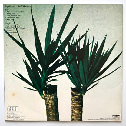 Yuichi Ikuzawa - Mysterious (Original Press)