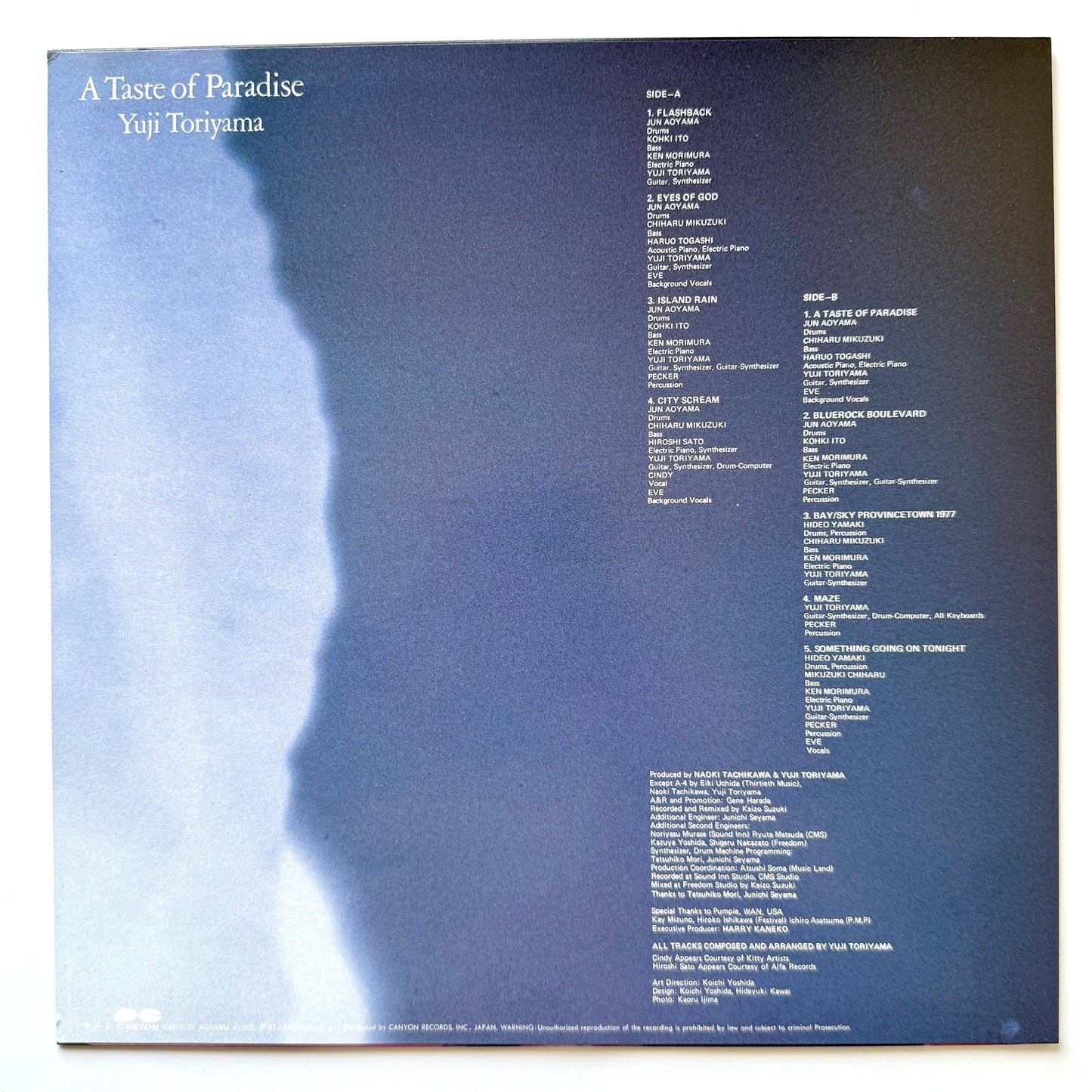 Yuji Toriyama - A Taste Of Paradise (Original Press)