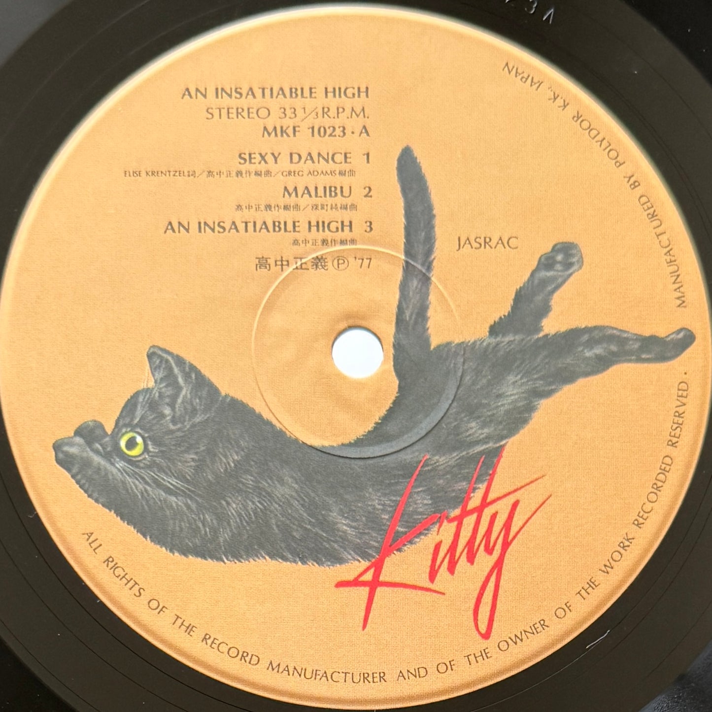 Masayoshi Takanaka - An Insatiable High (Original Press)