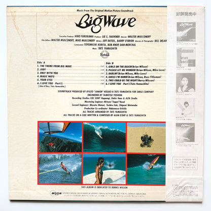 Tatsuro Yamashita - Big Wave (Original Press)