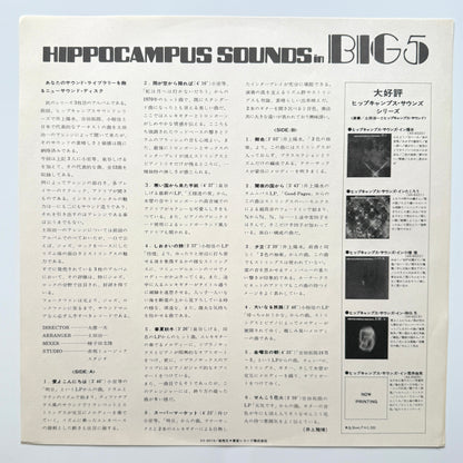 Harukazu Tsuchida - Hippocampus Sounds In Big5 (Original Press)