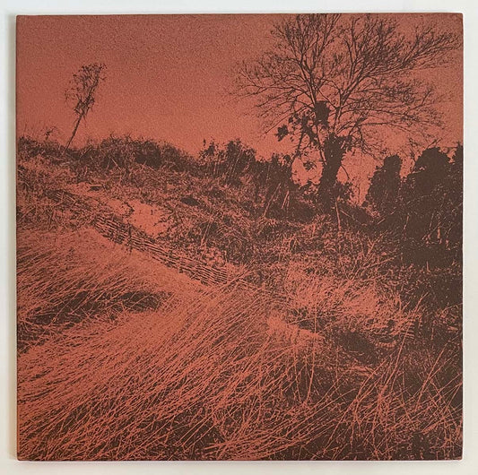 THE DYLAN II - きのうの思い出に別れをつげるんだもの (LP)